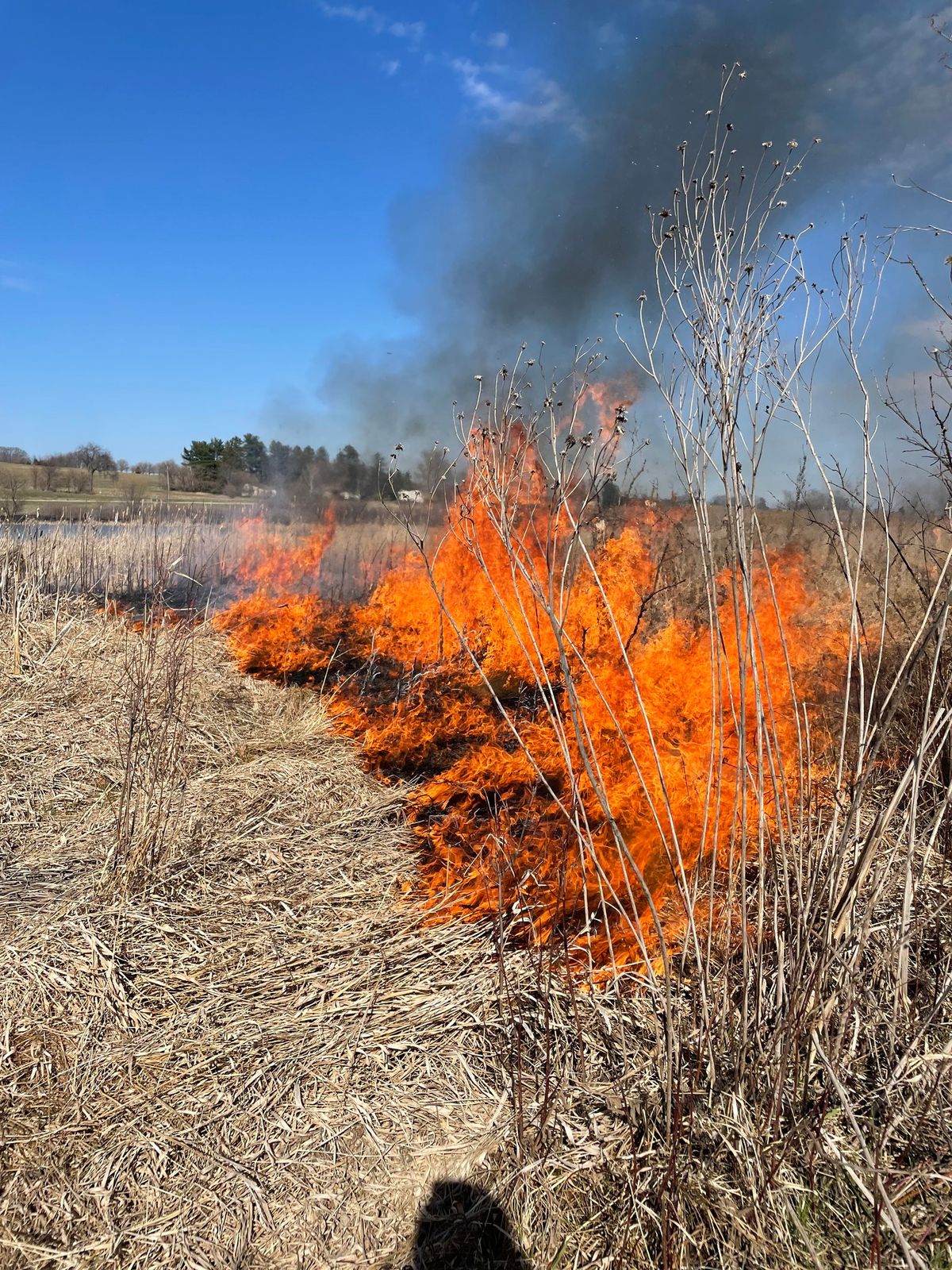 Prescribed Prairie Burn 