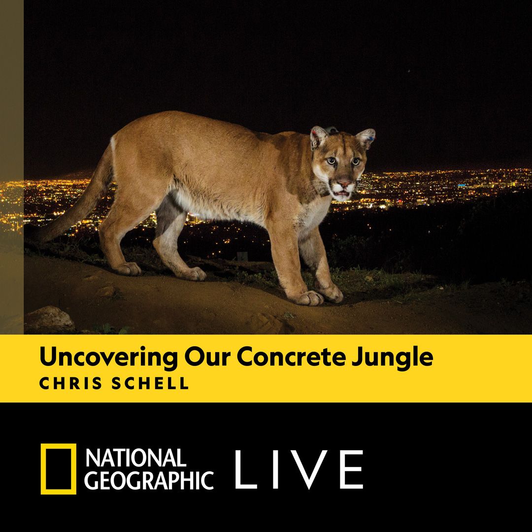National Geographic Live - Uncovering Our Concrete Jungle with Chris Schell at Lone Tree Arts Center