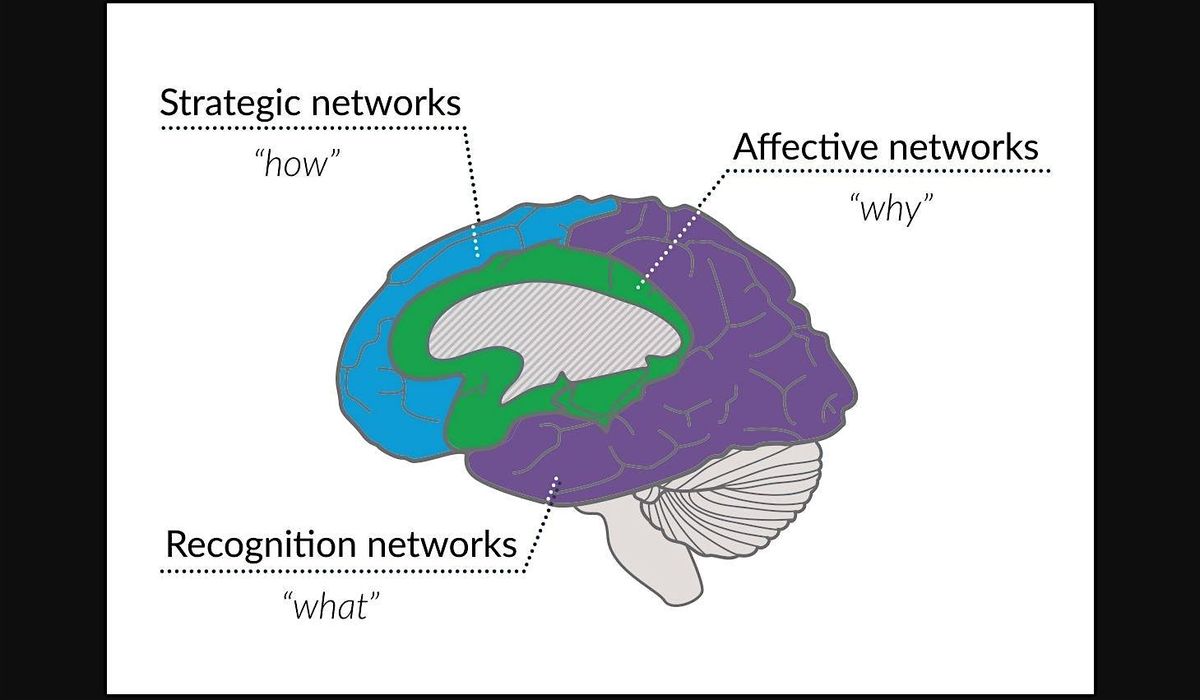 eL130 Universal Design for Learning (UDL)-2025 SPR(Zoom)