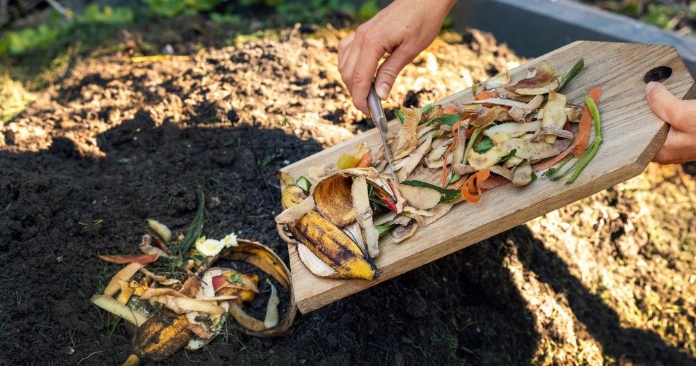 How To: Backyard Compost and Compost Tour