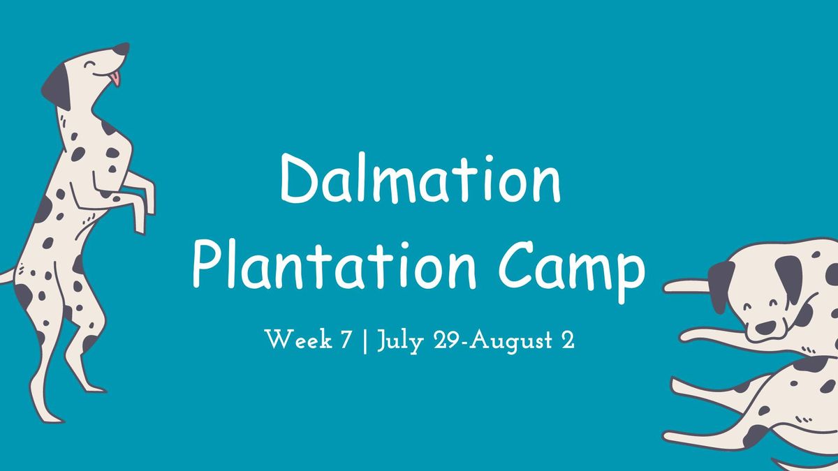 SUMMER CAMP 2024: Week 7: Dalmatian Plantation Camp