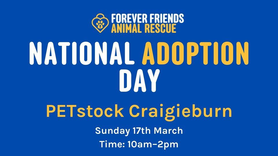 National Adoption Awareness Day 2024, PETstock, Craigieburn, 17 March 2024