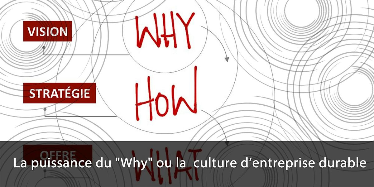 Vision, Valeurs et puissance du "Why" : culture d\u2019entreprise durable