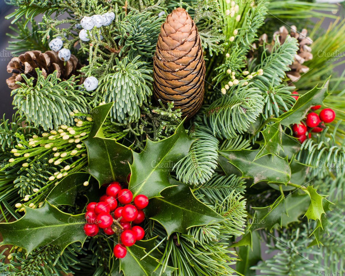 Dual Class! Wreath & Boxwood Tree