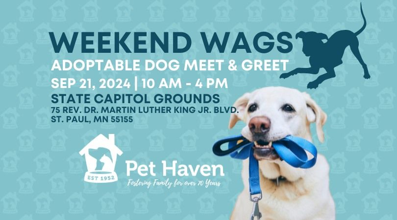 Weekend Wags! Adoptable Dog Meet!