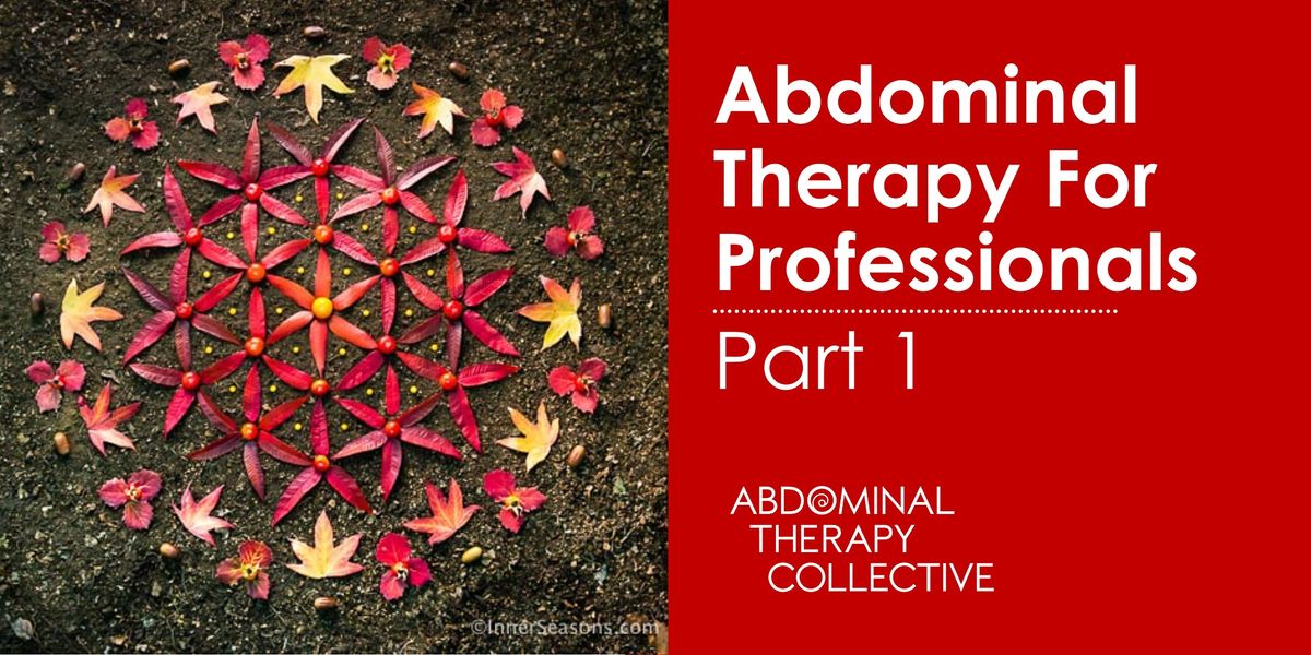Abdominal Therapy for professionals: Part one