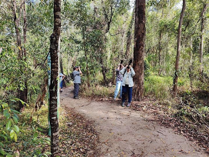 IndigiScapes Bushcare Birders Walk