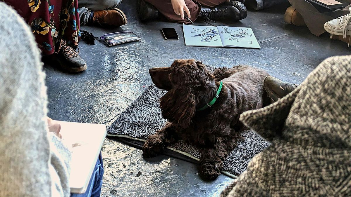 Dog Life Drawing Class - August