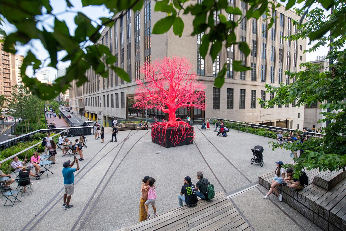 Trees, Blood, and Circulatory Systems: A Poetry Reading by Old Tree, On ...