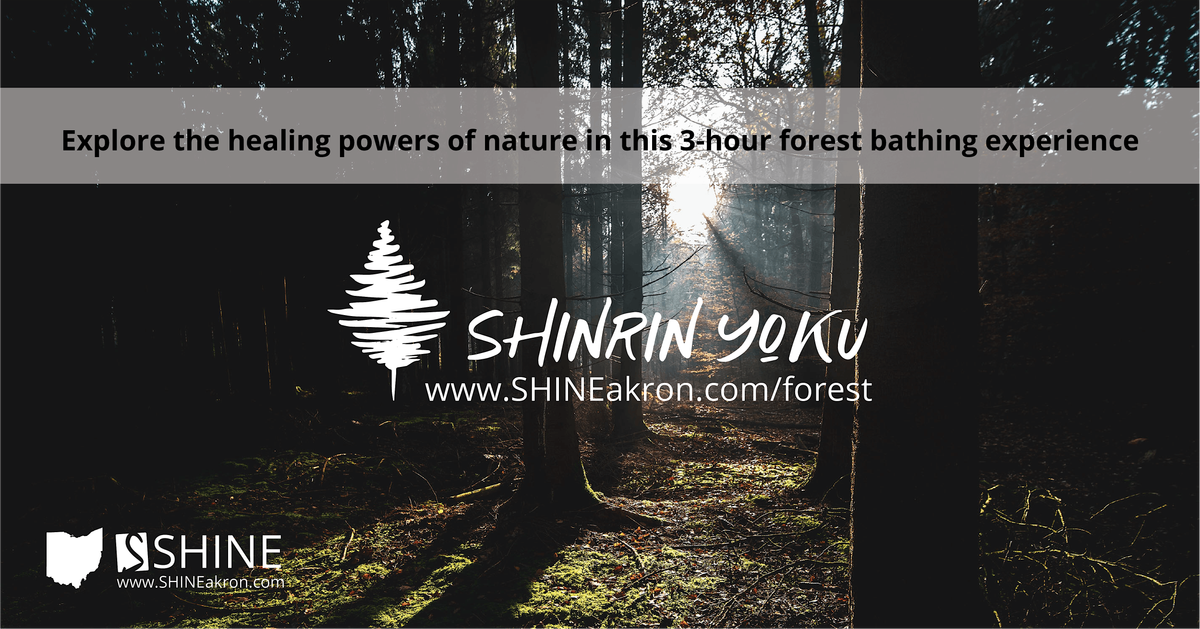 Shinrin Yoku (aka Forest Bathing) Workshop