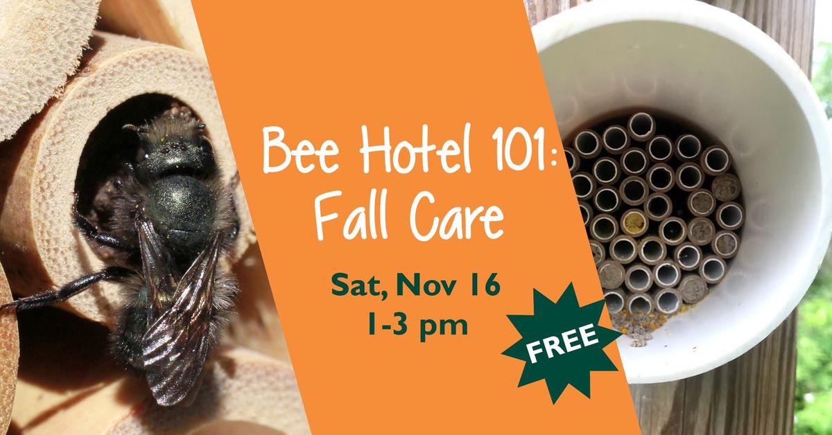 Bee Hotel 101: Fall Care