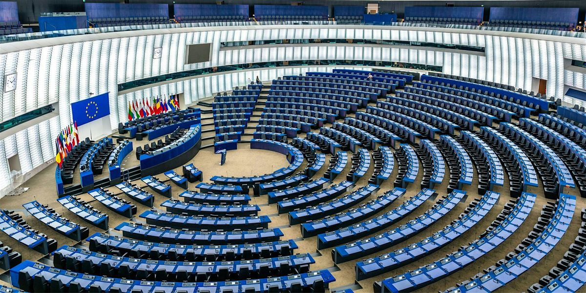 Parlamentare europeo per una sera