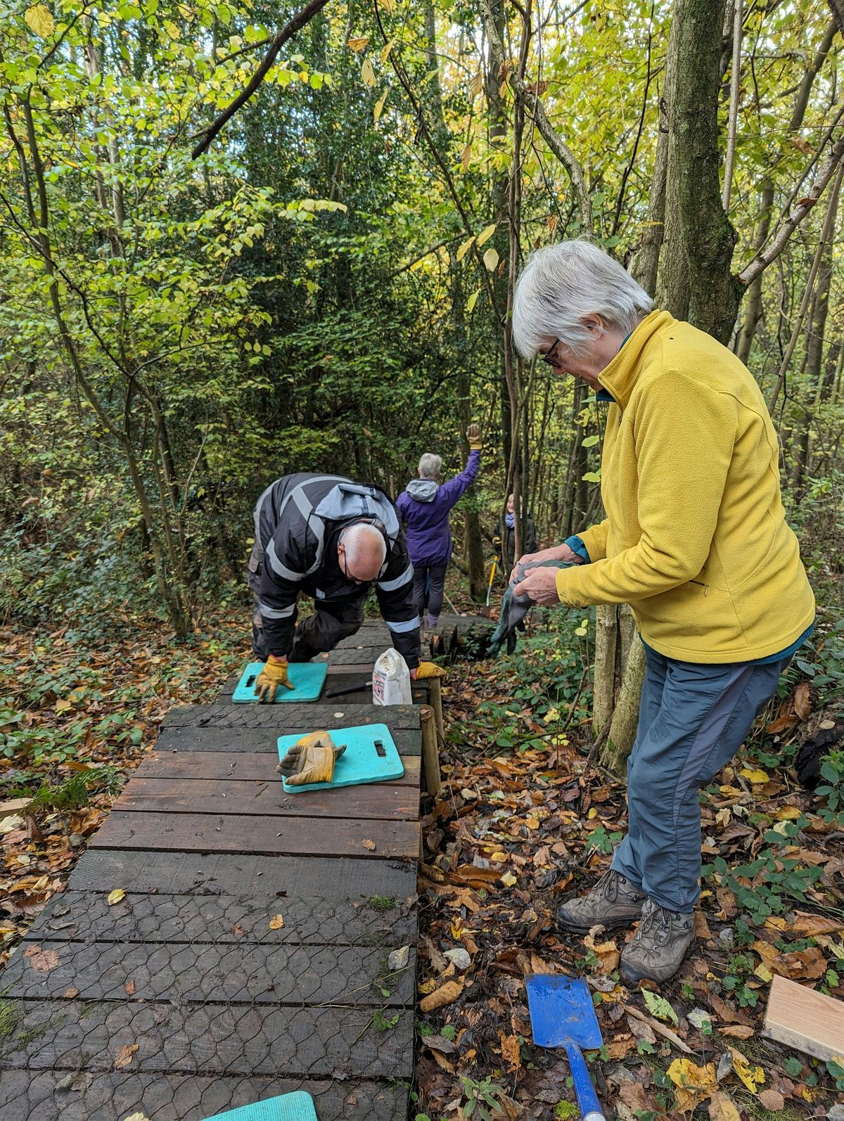 Volunteering @ Sutton Woods