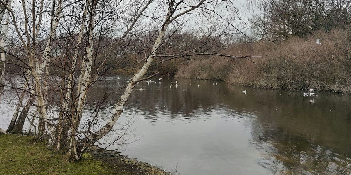 Christmas Walk at Wanstead Park - Epping Forest Guided Walk