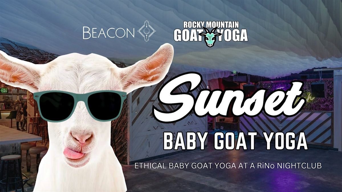 Sunset Baby Goat Yoga - July 31st  (BEACON)