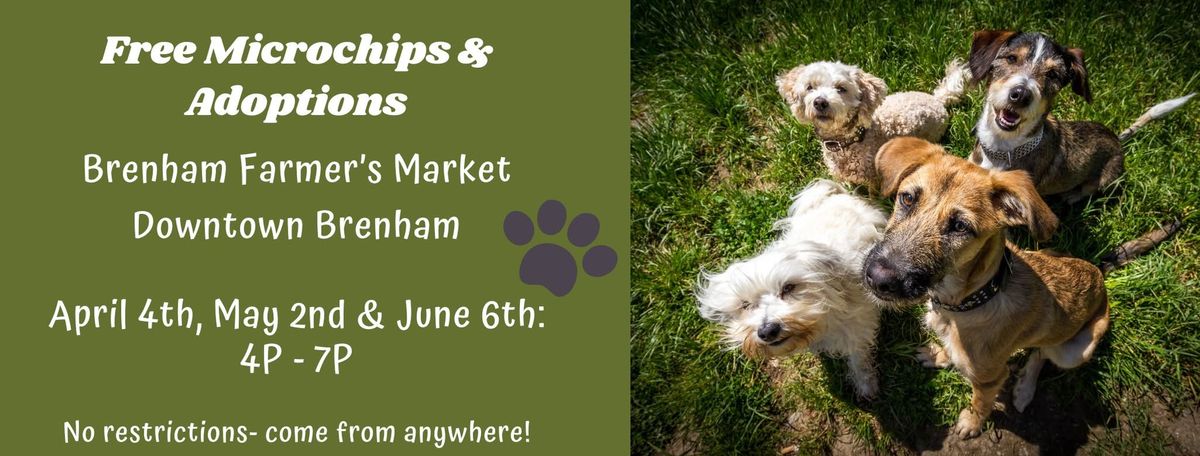 FREE microchipping & adoptions- Brenham!