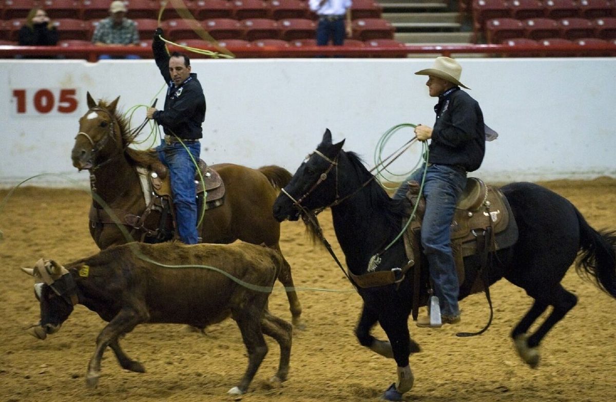 Outlaw Broncs: Bulls and Broncs at Cactus Petes Resort Casino Amphitheatre