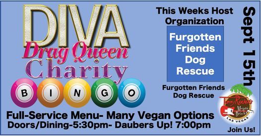 Diva Drag Queen Charity Bingo