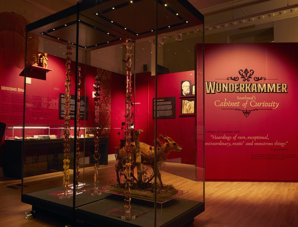 Southend Museum Tour - Wunderkammer