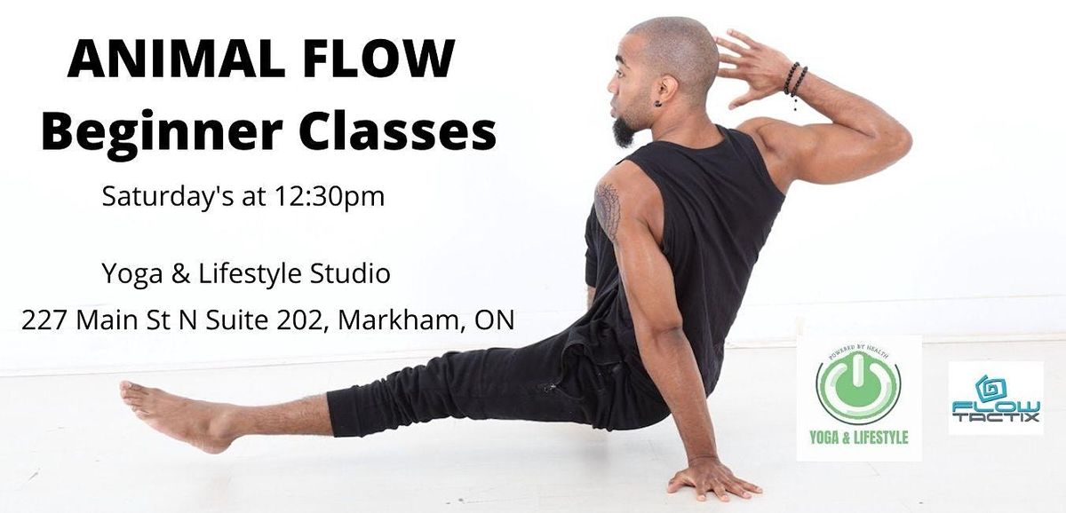 Animal Flow - Beginner Movement Class, Yoga & Lifestyle, Markham, 16  October to 18 December