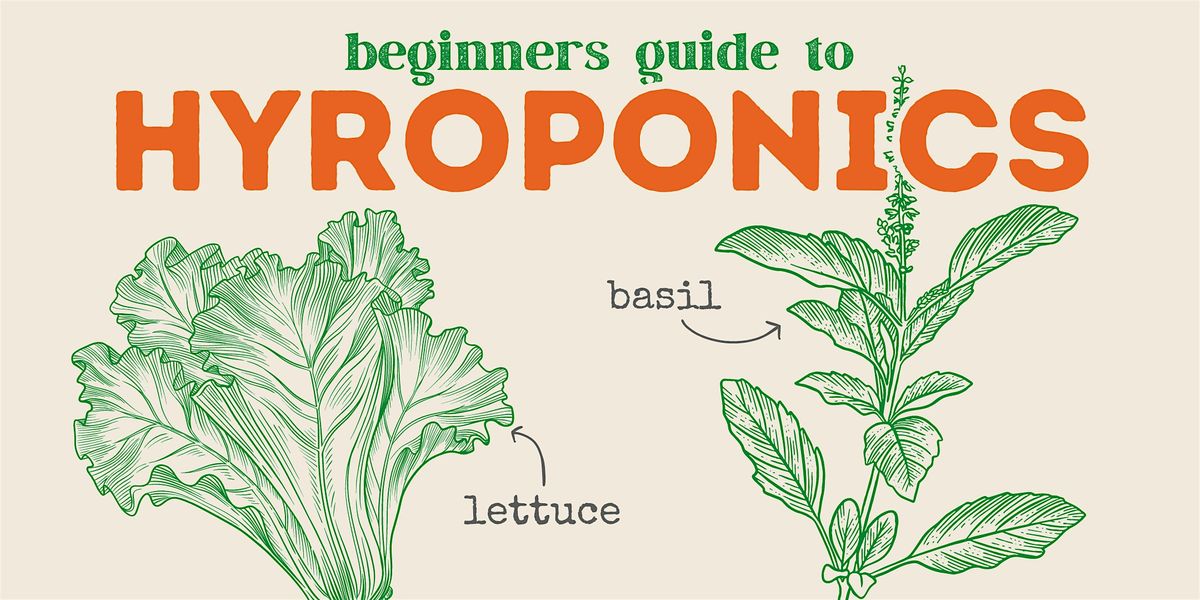 Beginners Guide to Hydroponics Workshop