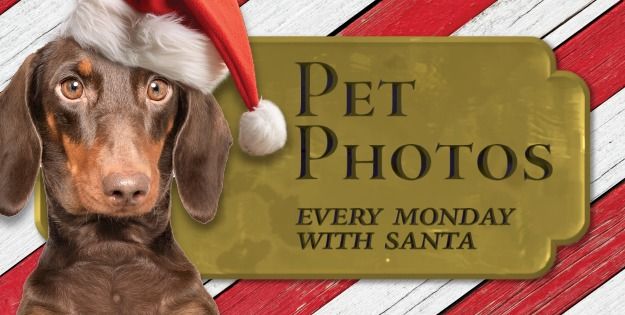 Pet Photos with Santa