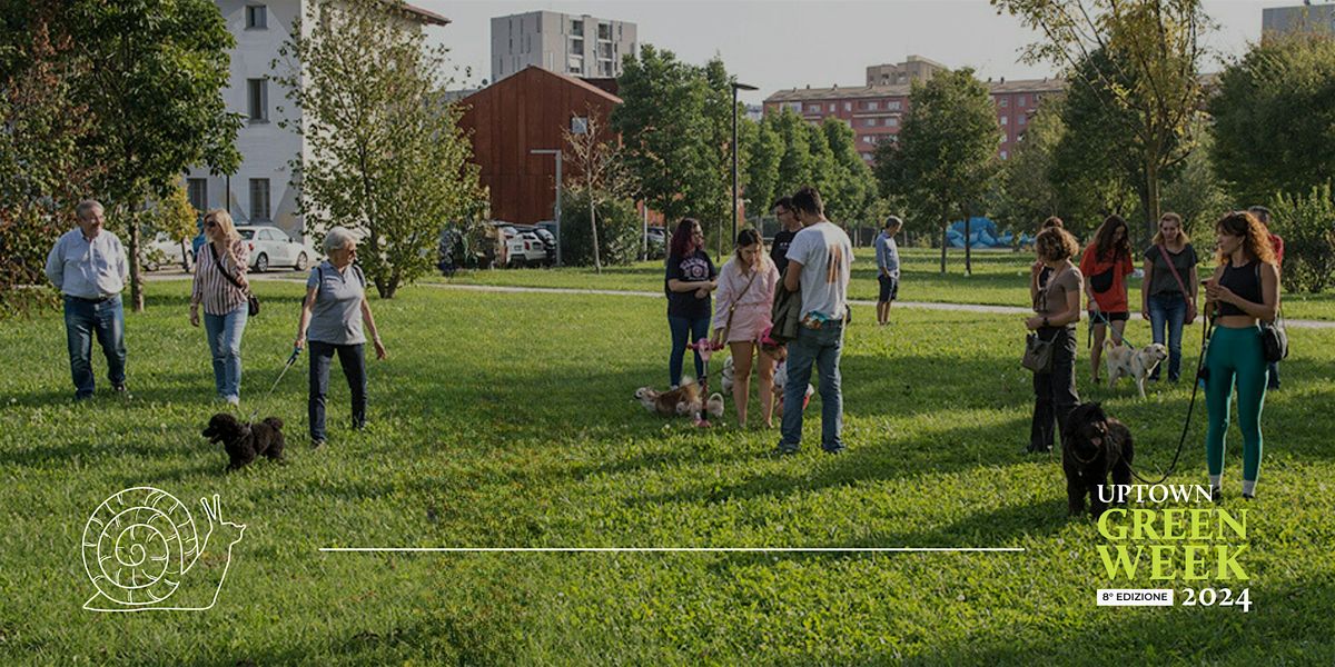 Amici a quattro zampe: formazione, passeggiate e divertimento