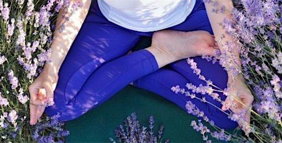 The Senses: Master Hatha Workshop Series to Awaken Your Practice