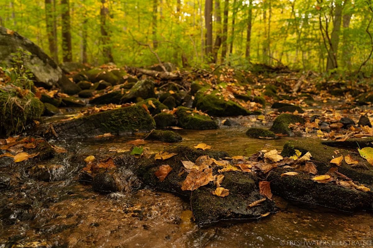 SAN Watershed Land Protection Collaborative