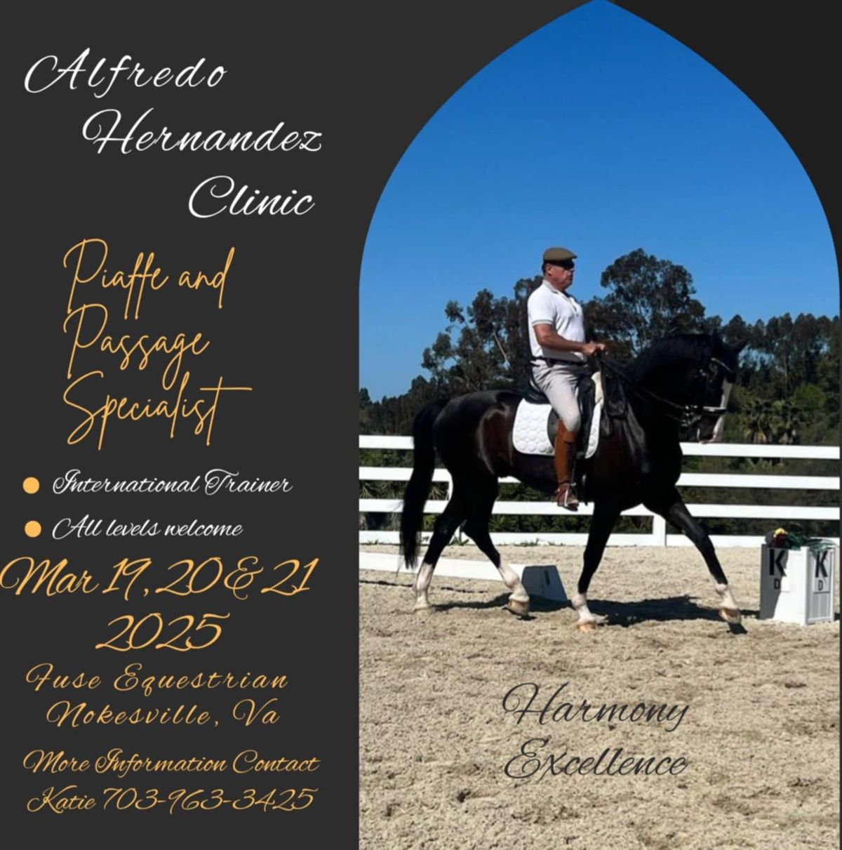 Alfredo Hernandez Dressage Clinic