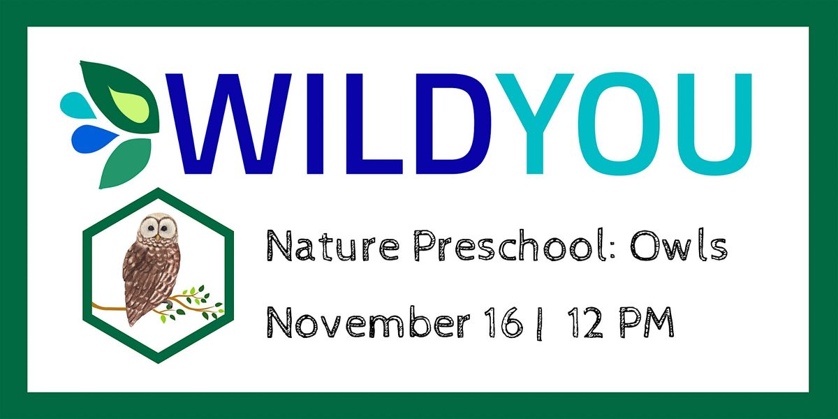 Nature Preschool: Owls