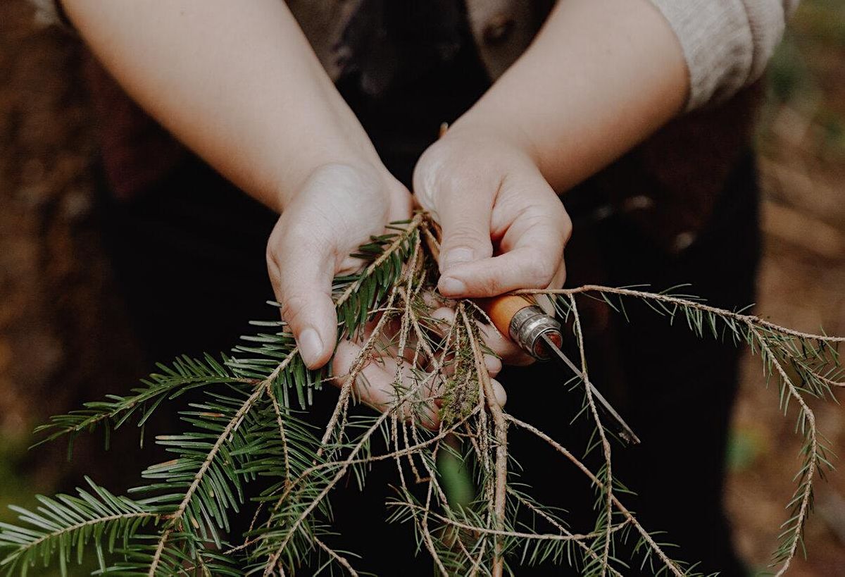 Wild Medicine Cabinet: Winter Medicine Making