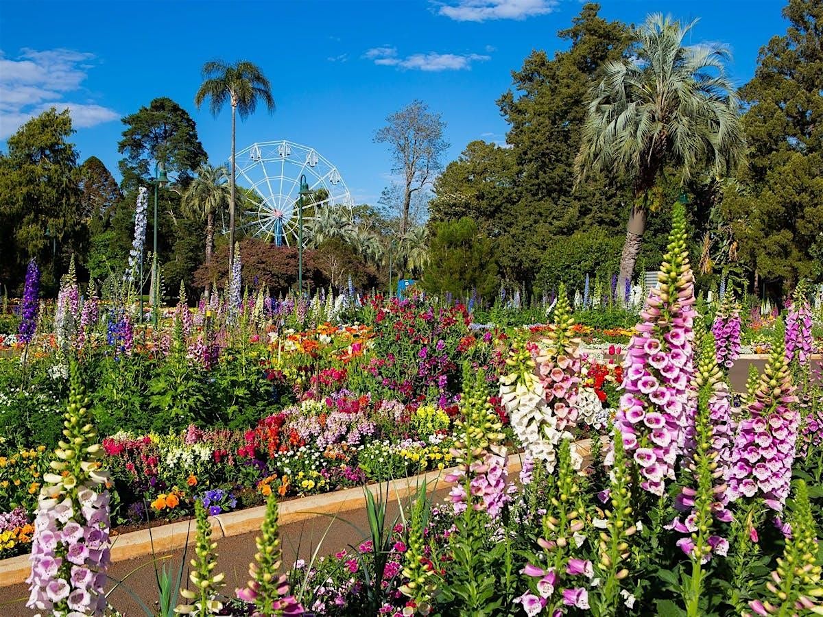 Toowoomba Flower Festival - LAST WEEKEND!