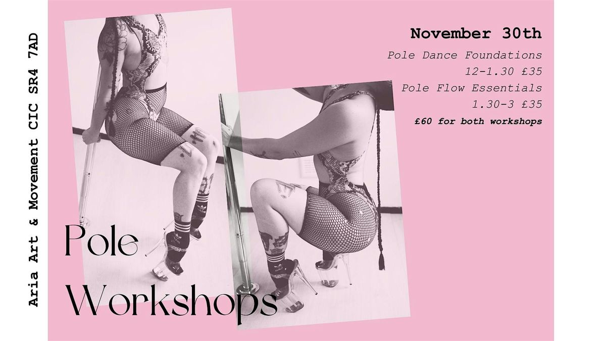 Pole Workshops at Aria Art & Movement