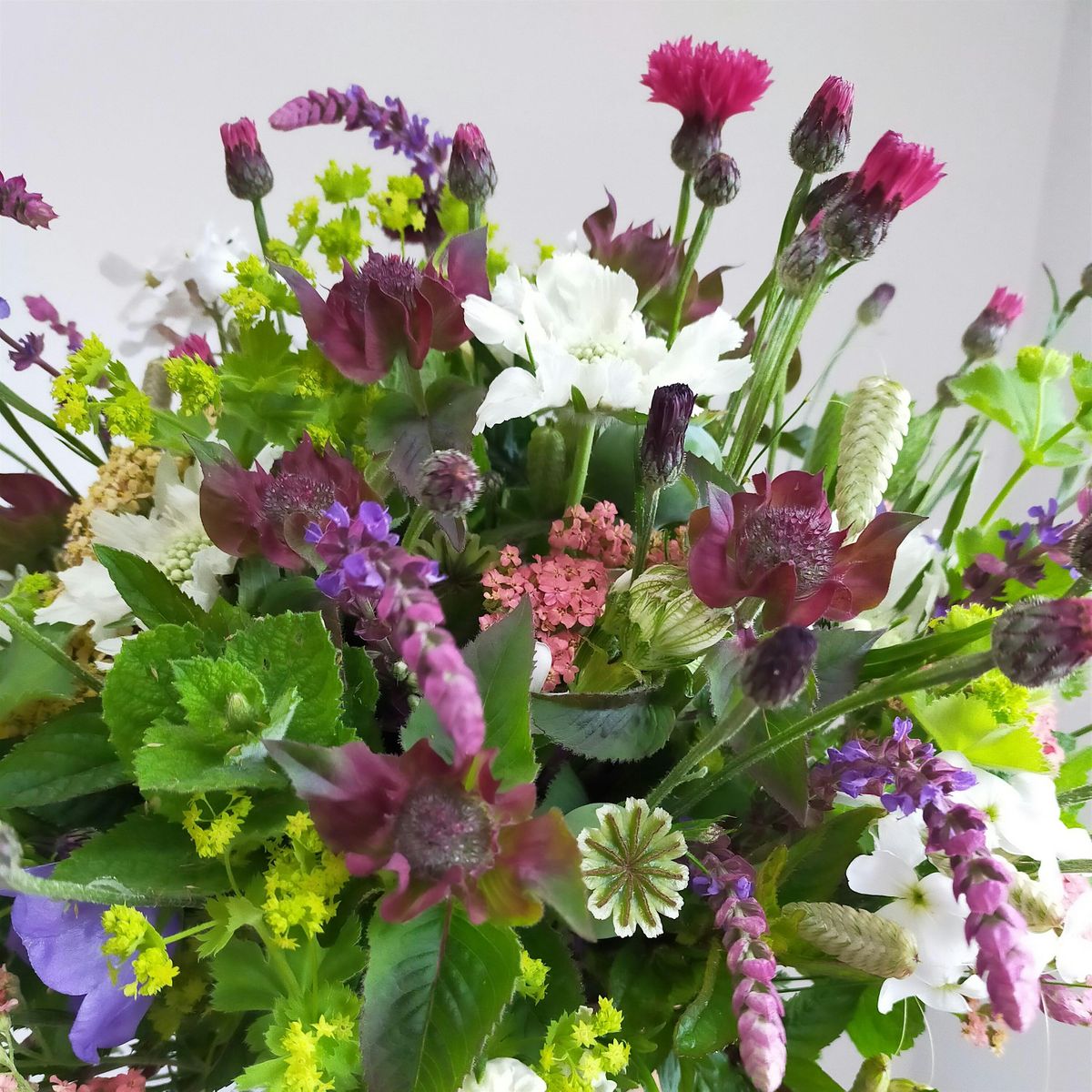 Friday Flowers - 7th June 2024