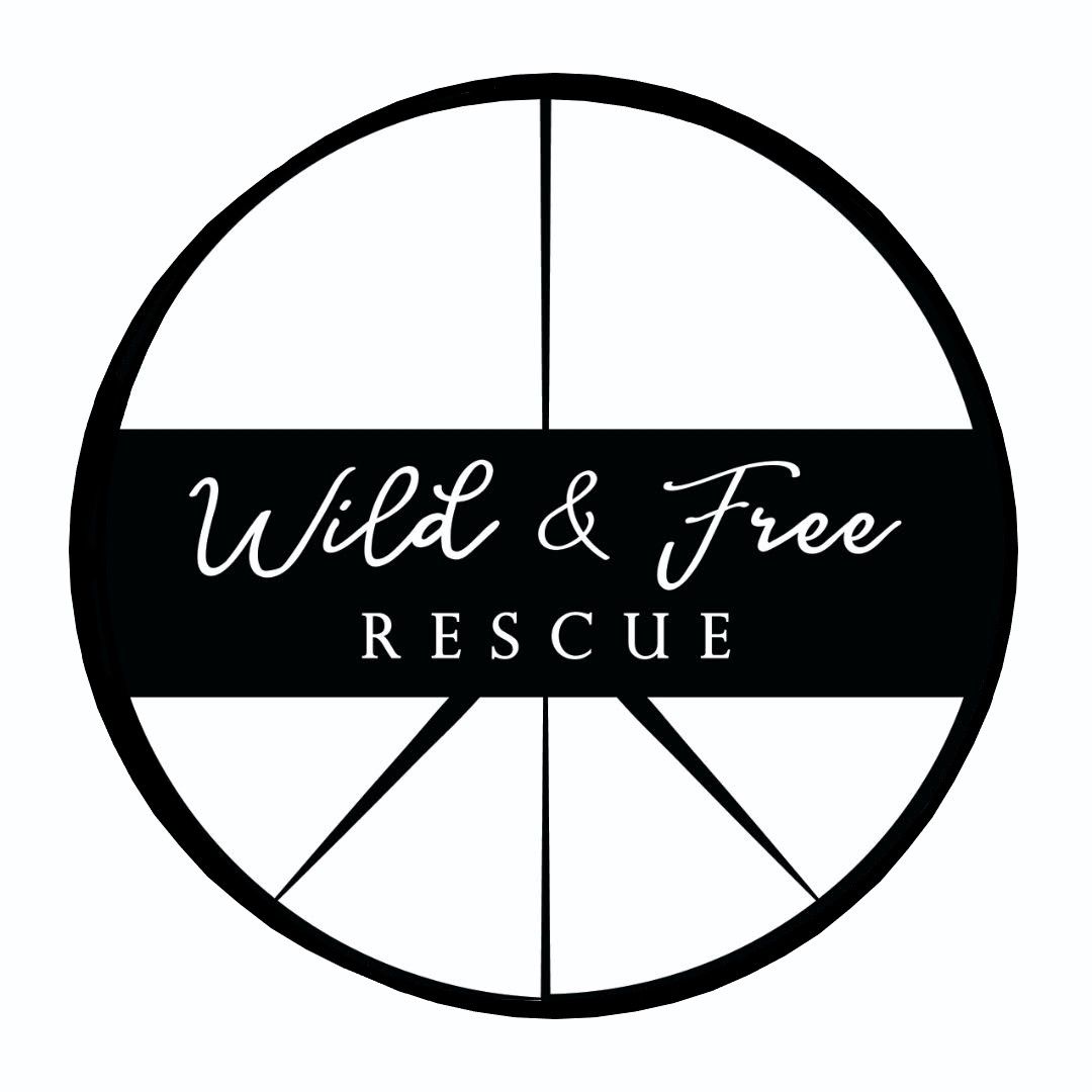 Paint with Puppies -Fundraiser - Wild and Free Rescue 