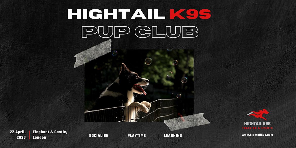 Pup Club - @Hightailk9s