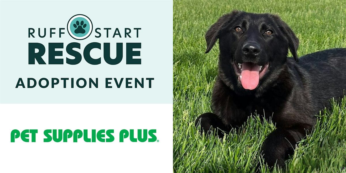 Blaine Pet Supplies Plus Adoption Event