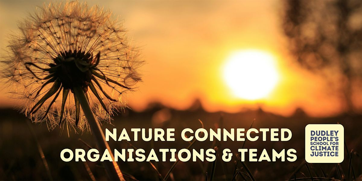 Nature Connected Organisations and Teams