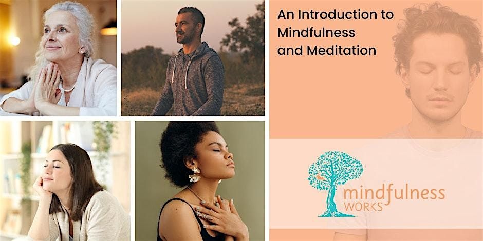 An Introduction to Mindfulness & Meditation course - ROCKY