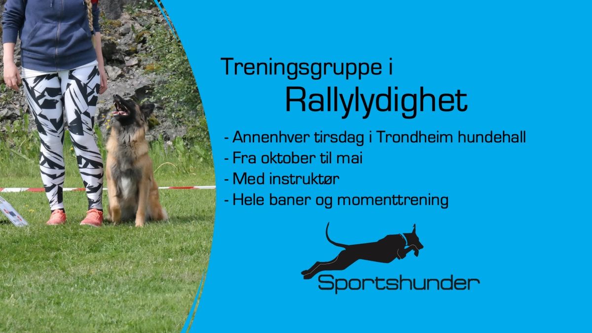 Gruppetrening i Rallylydighet 2024\/2025