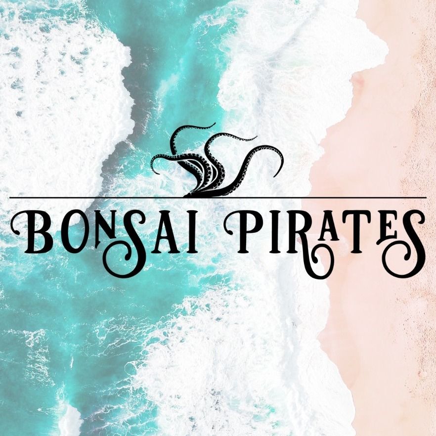 Bonsai Pirates live in the Cellar Bar