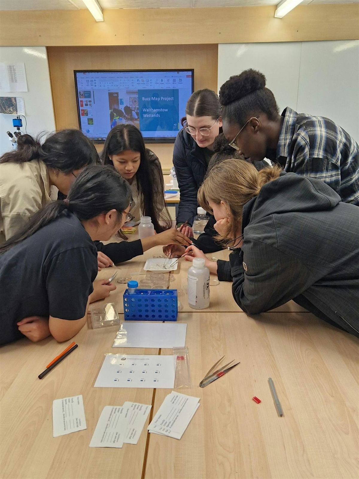 Buzz Map: Insect DNA Mapping, Walthamstow Wetlands, London Wildlife ...