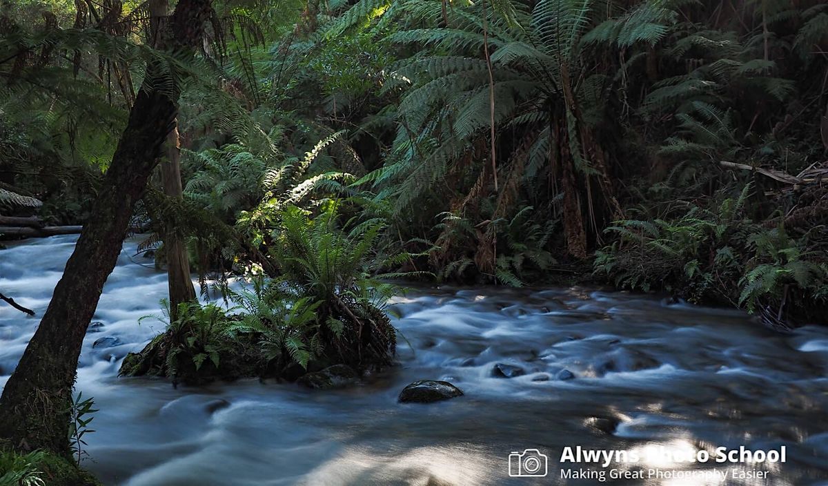 Rivers\/Redwoods & Rain-Forests-Landscape Photography Course 2 (Warburton)