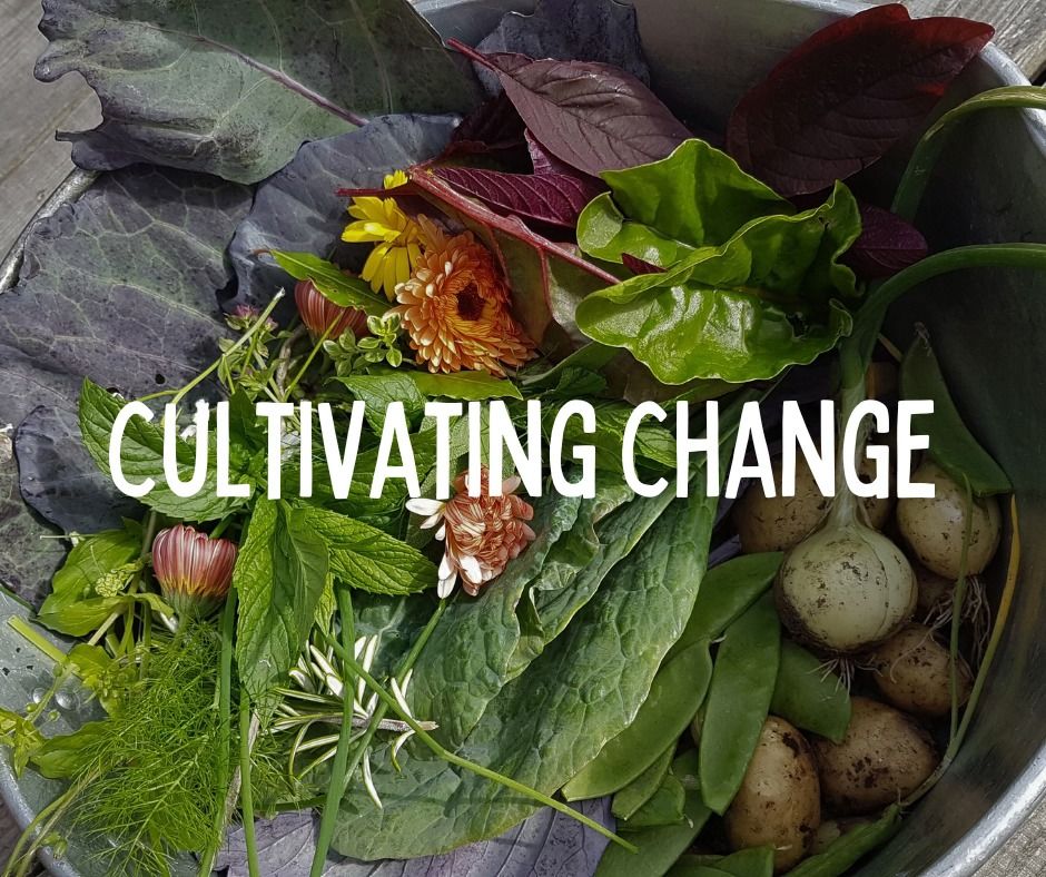 Cultivating change - Permaculture Design Course 