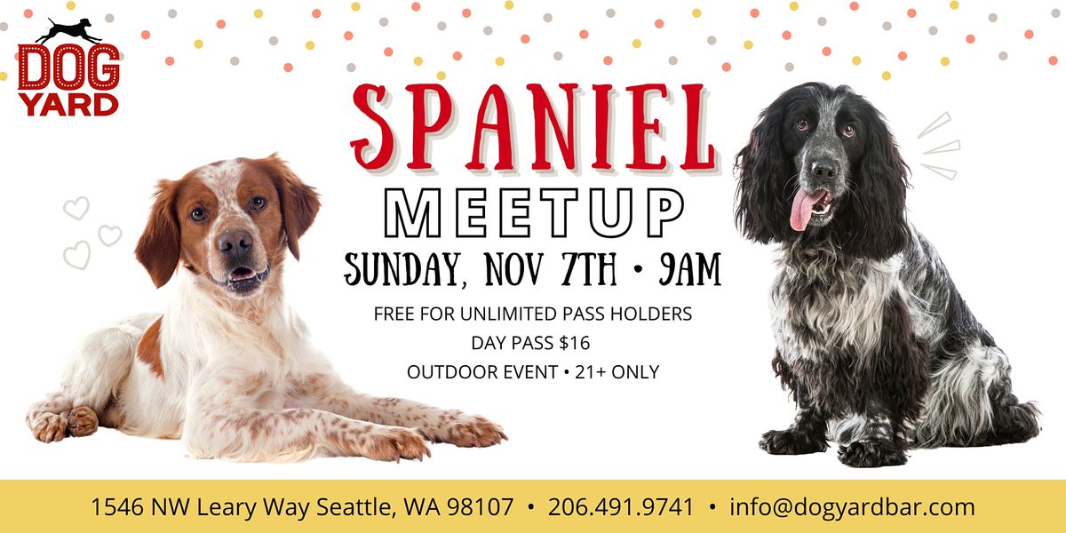 Spaniel Meetup at the Dog Yard - Sunday Nov 7