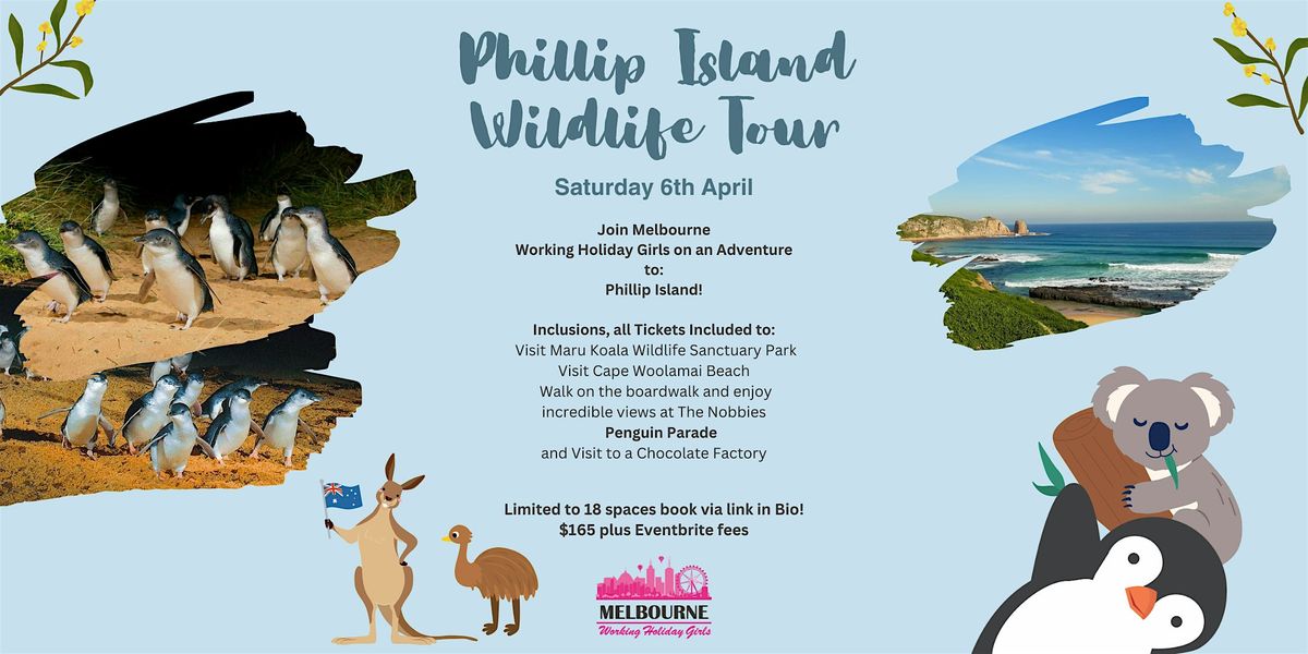 Phillip Island and Wildlife Tour| Melbourne Working Holiday Girls