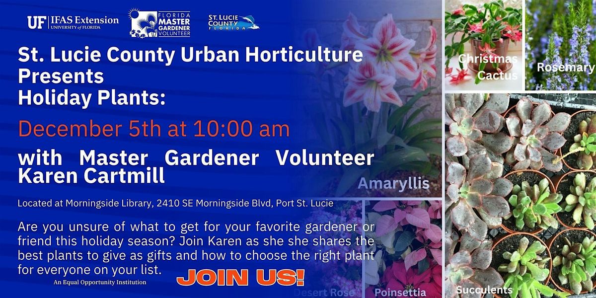 Holiday Plants for Gifts