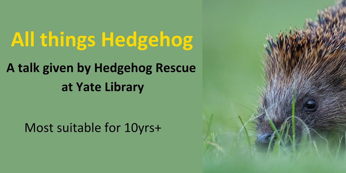 All things Hedgehog | Yate Library