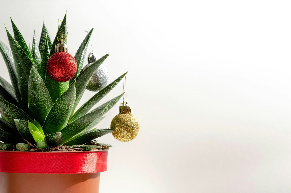 Garden Gifts for the Holidays